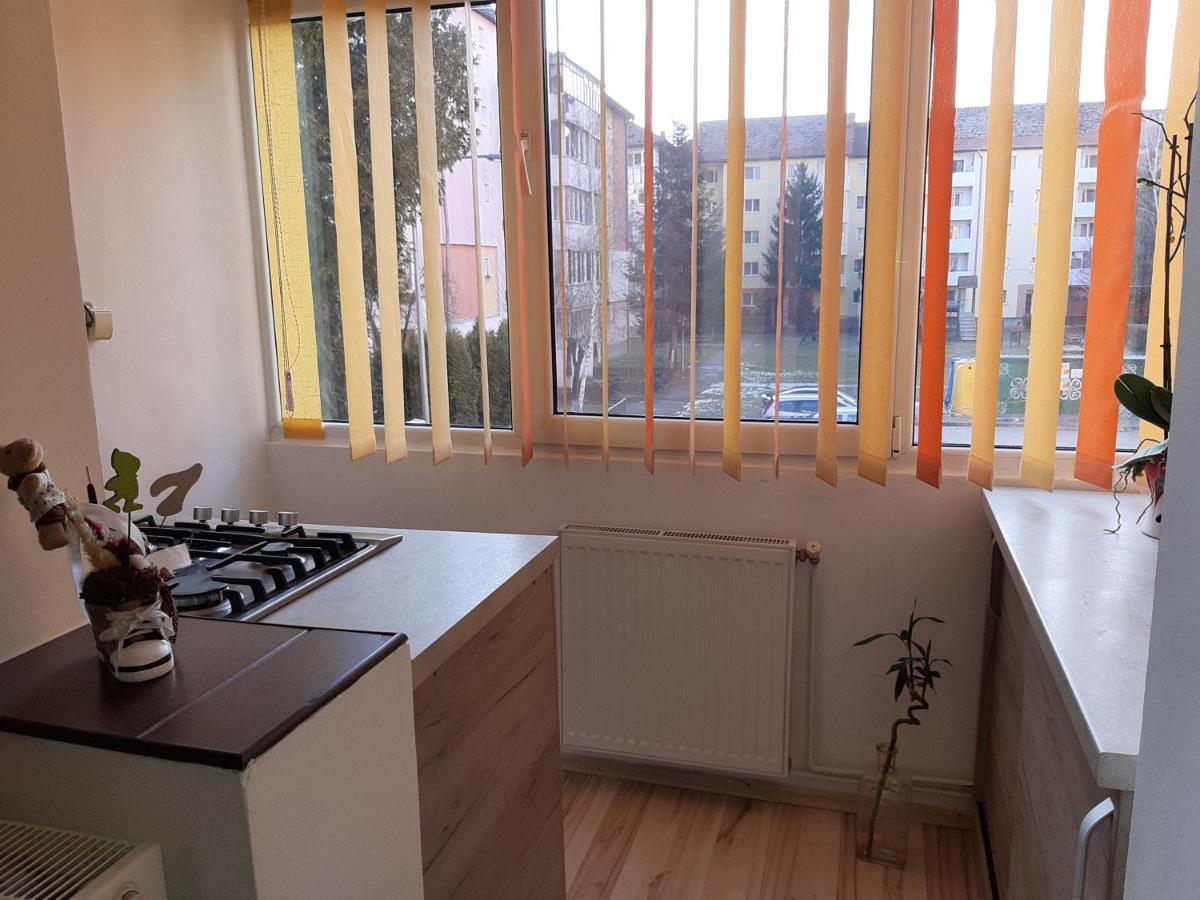 Sepsi 4You Apartment Sfântu-Gheorghe Exteriör bild